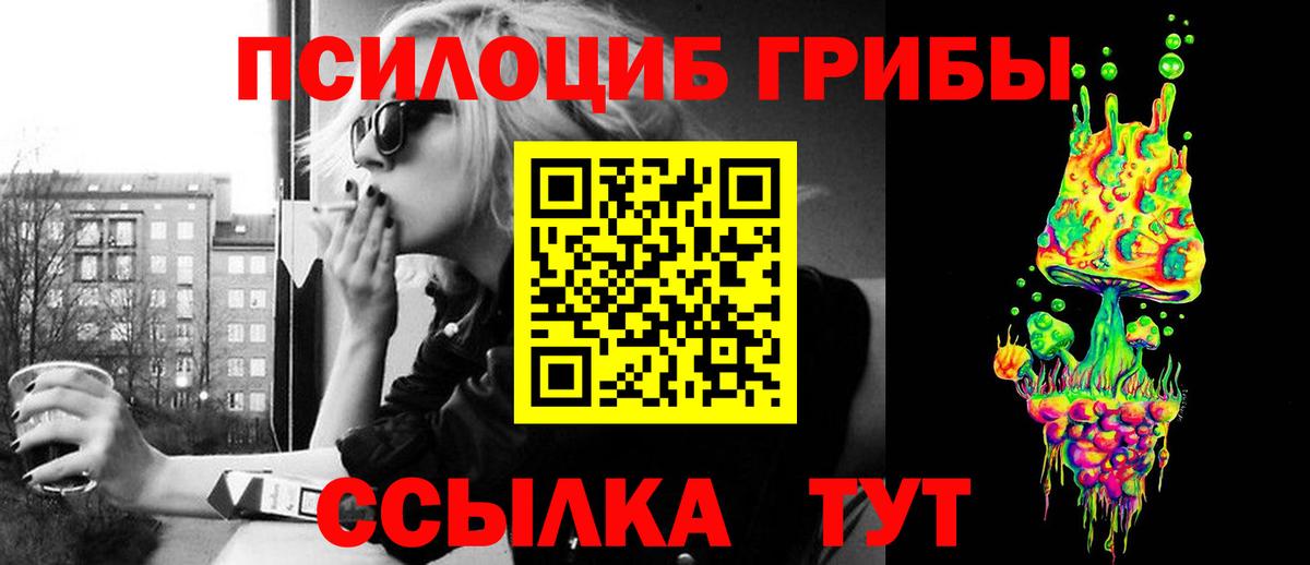 Псилоцибиновые грибы Psilocybe Киров